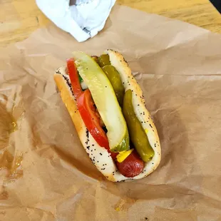 Chicago Dog