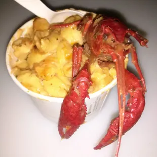 Lobster mac and cheese.