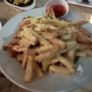 Cheese fries