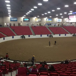 Arena photo!
