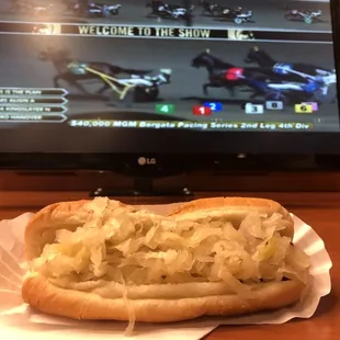 Best way to watch the horses