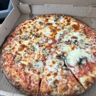 Supposed to be extra cheese and mushrooms