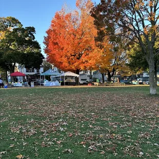 Last market of the season