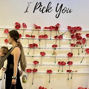 Free post-valentines Anthurium&apos;s for all! Babies too!