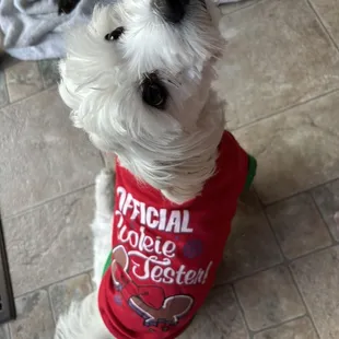 Buddy is my pet but Dog is Not on menu here!