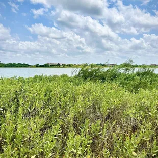 Summer is in the air in STX