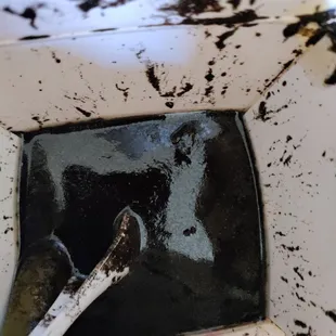 Dinuguan......