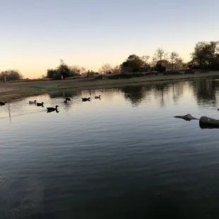 Stocked pond onsite for catch and release