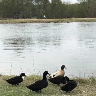 The locals at Southbound