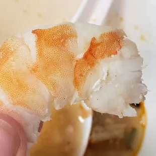 Huge shrimp