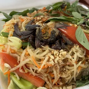 Papaya Salad