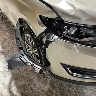 Right after the deer the night before