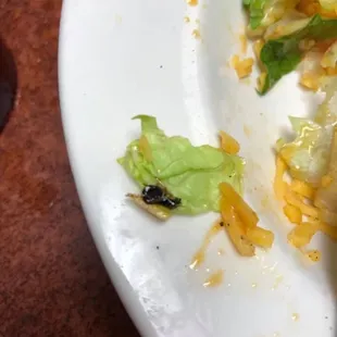 a half eaten plate of food