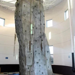 Climb the wall at the Y!