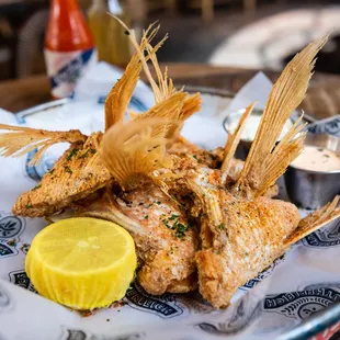 SOUTHERLEIGH'S FAMOUS SNAPPER THROATS