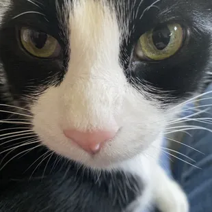 Another closeup of Lloyd