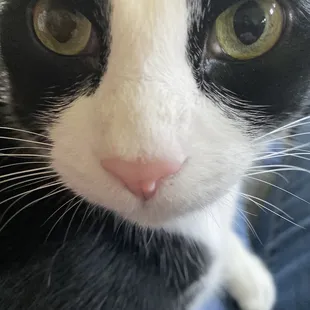 Lloyd up close , so gorgeous