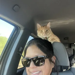 NOT adopted at Southern Arizona Cat Rescue because THEY WOULD NOT ALLOW ME TO ADOPT FROM THEM. Looks like a pretty happy cat...