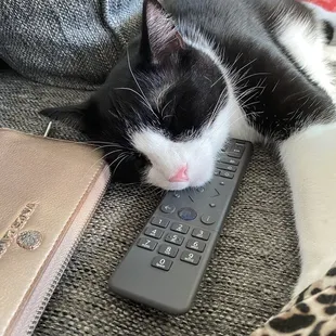 Lloyd sleeps anywhere (guess I'm not changing channels)