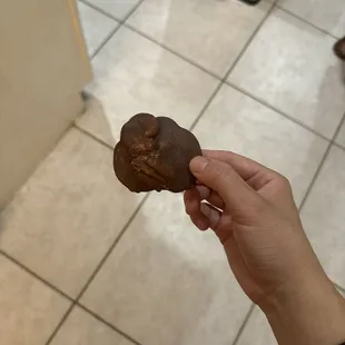 Chocolate praline