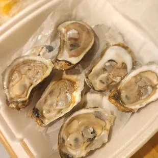 Oysters