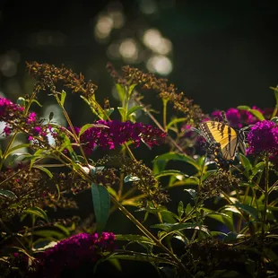 Nature surrounds you.