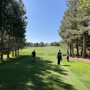 6th tee box.  Narrow shoot from the back tees!
