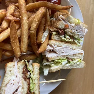 Turkey club &amp; Fries