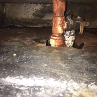 Typical beer tap at this place