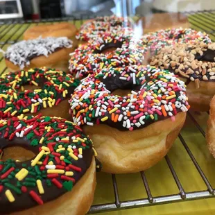 Freshly made raise donuts! Never day old!