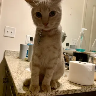 Chloe F.