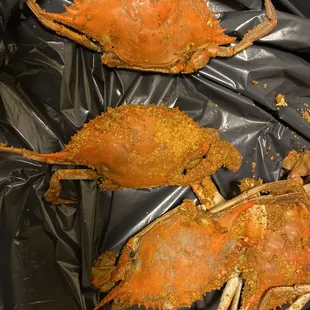 The medium crabs I paid for that are definitely SMALL.