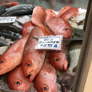 Whole red snapper is great for grilling.