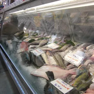a display of fresh fish