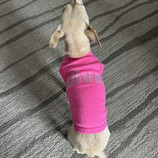 Our "diva" Roo in her new dress