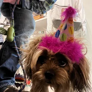 Happy birthday to Mookiee!!