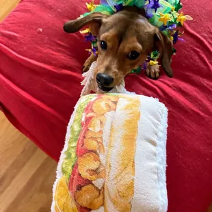 Poboy tug and squeaker toy