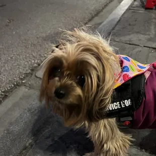 Happy birthday Mookiee