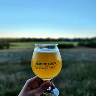 a hand holding a glass of beer