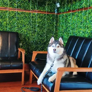 Clovis enjoying the brewery