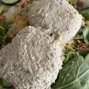 Garden salad w/ 2 scoops