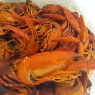 Crawfish