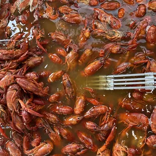 crawfish being cooked in a pan