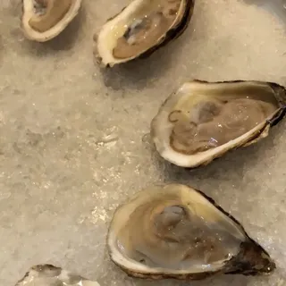 Fresh Oysters on the Half Shell