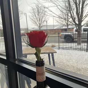 a rose in a wine bottle on a window sill