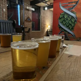 a row of beers