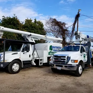 Whether you need a Crane Truck or different size Bucket Trucks, we have you covered. Tree Trimming, Stump Grinding, Tree Removal, Free Est.