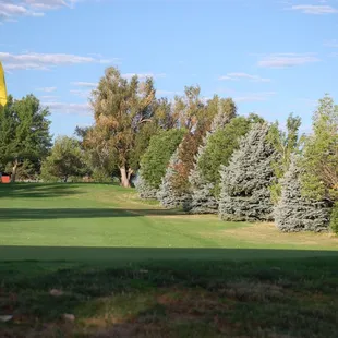 Hole #8 looking back at the tee.