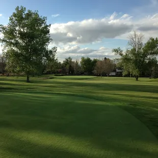 #7 green looking back at #1 green.