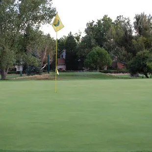 #2 Green looking back towards the tee.